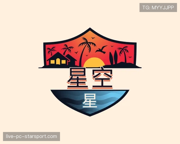 介绍星空世界杯
